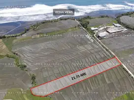 FREEHOLD LAND OFFERING STUNNING OCEAN AND SUNSET VIEWS IN TABANAN