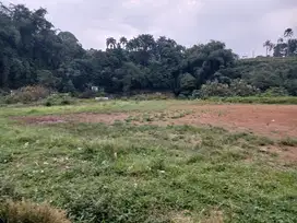 Jual Tanah Murah 1280m di Sukamantri Pondok Bitung Cijeruk Bogor