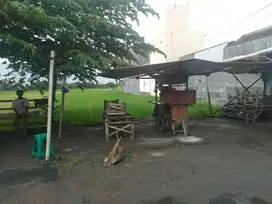 tanah jetis baki