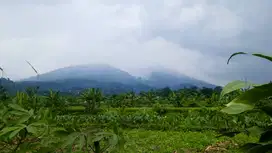 DIJUAL TANAH DI KAKI GUNUNG SALAK CIJERUK, COCOK UNTUK VILLA & USAHA