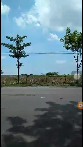 Tanah Murah Di Kawasan Zona 3 Industri Tuban,Cocok Utk Usaha+Investasi