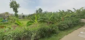 Tanah Dijual Cepat Di Jl. Bunar Saga, Balaraja, Tangerang