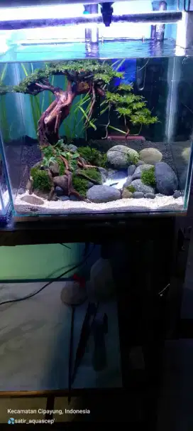 Aquarium Aquascape Tema Bonsai Hidup No Sintetis