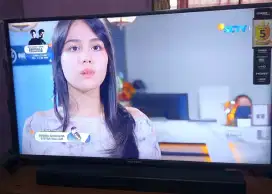 Tv 43inc Polytron noken