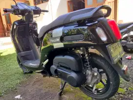 Fazzio Neo 2022