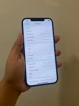 Iphone 12 Pro Max 256 Resmi Beacukai