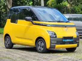 Air EV Long Range 300 KM Nik 2023