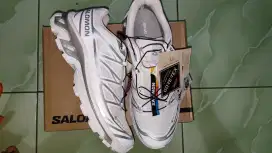 Salomon XT-6 GORE TEX (WHITE SILVER)