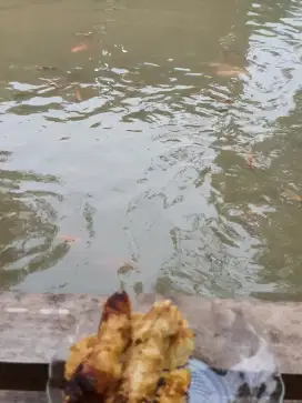 Kolam cocok untuk villa