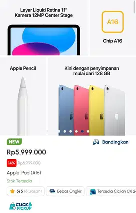 Apple iPad (Al6)