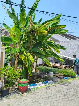 Dijual murah tanah dalam perumahan Taman Gunung Anyar,Surabaya