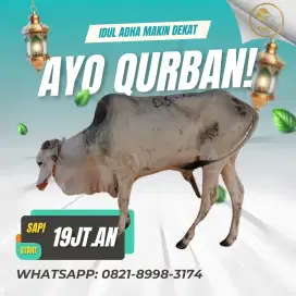 Domba Qurban , Sapi Kurban dan Kambing Qurban