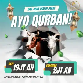 Hewan Qurban, kambing Qurban, Sapi Qurban