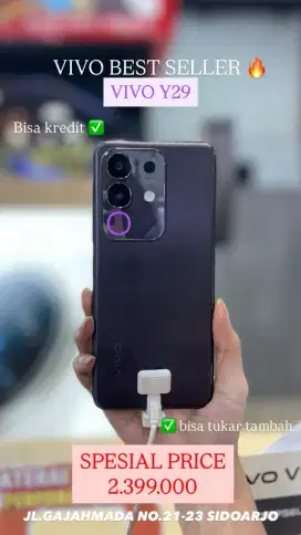 TERLARIS VIVO Y29