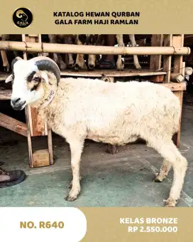 Sapi KURBAN, KAMBING Kurban, Hewan Qurban