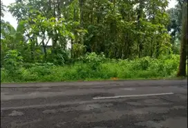 Dijual Cepat Tanah Lokasi Bagus Dekat UNNES Semranag