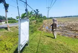 TANAH MANGUNREJO DEMAK 3994 ASSET BANK, CASH ONLY