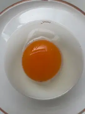 Telur bebek mentah
