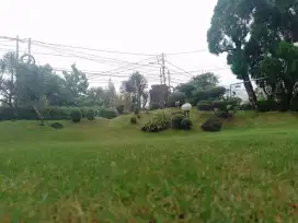 Tukang kebon panggilan