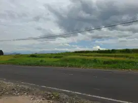 Dijual Cepat Tanah Strategis Pinggir Jalan Raya Besar Sungai Tarab