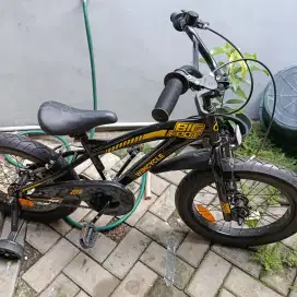 Sepeda Anak Wimcycle Bigfoot 3.0 ring 18