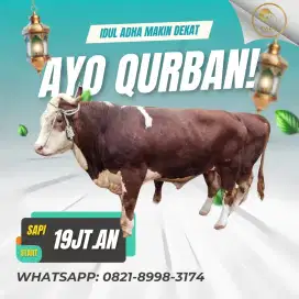 Domba Qurban , Sapi Kurban dan Kambing Qurban