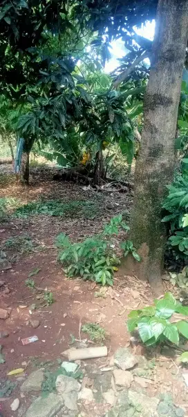 Jual tanah 200 meter untuk pembuguana kontrakan dan rumh bgus