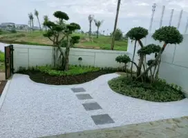 Pembuatan taman kering minimalis