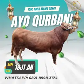 Sapi KURBAN, KAMBING Kurban, Hewan Qurban