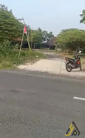 Dijual Cepat! Lahan Industri 3 Ha di Masaran Sragen,
