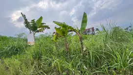 UNDER MARKET! DIJUAL TANAH BATU MALANG COCOK UNTUK VILLA SIAP BANGUN