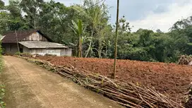 Tanah 1.973 m² di Meteseh, Boja – Lokasi Strategis dan Berkembang