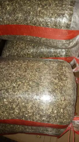 Biji kopi arabica