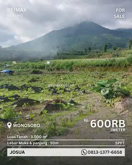 Dijual Tanah Daerah Wisata Kebun Teh Area Wonosobo