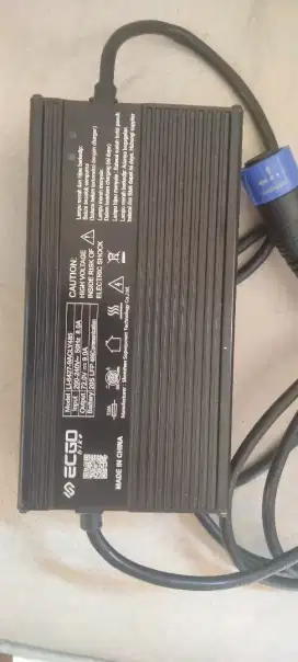 Fast charging ecgo moto 3
