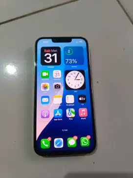 iPhone 13 Pro 512GB