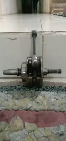 Askruk tiger L68