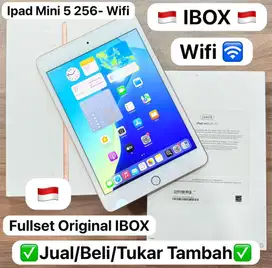 ipad mini 5 256gb second like new