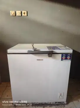 Frezzer Changhong 200 lt