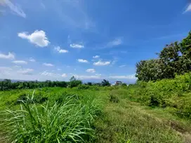 DIJUAL TANAH AREA PERKEMBANGAN KOST MERJOSARI