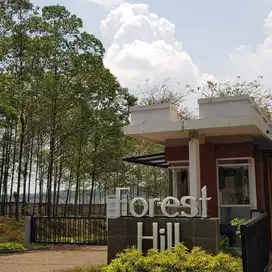 Dijual Murah Rumah 1LT di Forest Hill Citraland BSB City