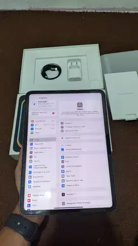 iPad pro M4 garansi ibox 256