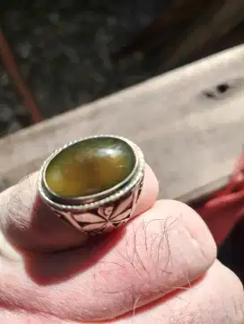 Bio solar gelap