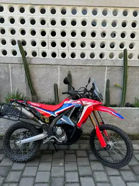 Crf rally 250 tahun 2024