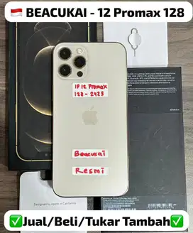 Iphone 12 Promax 128 Gb Gold Resmi Beacukai