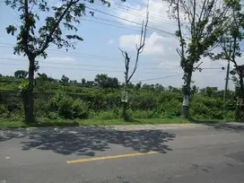 TANAH PANCENG GRESIK 38694 ASSET BANK, CASH ONLY, LSG AJB