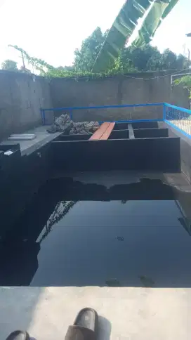 Terima jasa bikin kilam koi