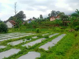 TANAH KEBUN SHM MASUK MOBIL DEKAT WISATA GUNUNG PUNTANG