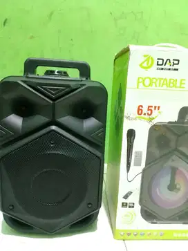 SPIKER DAP VY7 6,5Inc