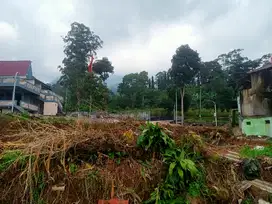 TANAH KEBUN 3 MENIT WISATA TAMAN BOUGENVILLE GUNUNG PUNTANG